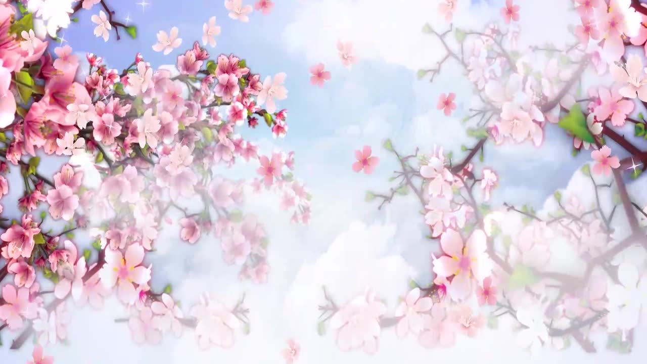 详情图-动画背景，美丽的粉红色玉兰花盛开的树在早春季节在公园晴朗的一天蓝天下
