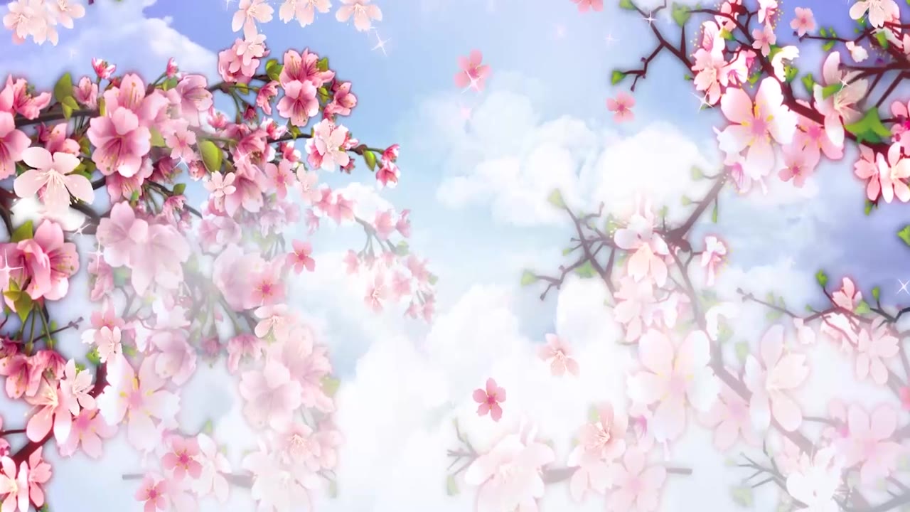 详情图-动画背景，美丽的粉红色玉兰花盛开的树在早春季节在公园晴朗的一天蓝天下