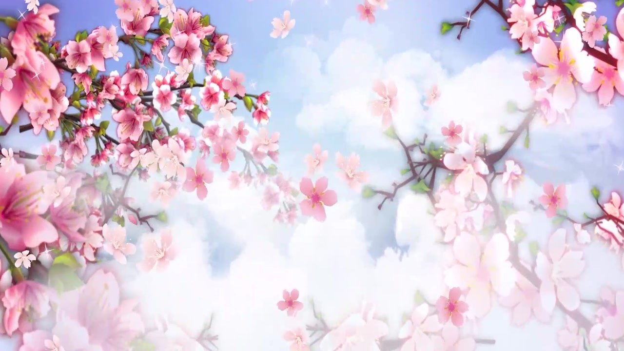 详情图-动画背景，美丽的粉红色玉兰花盛开的树在早春季节在公园晴朗的一天蓝天下