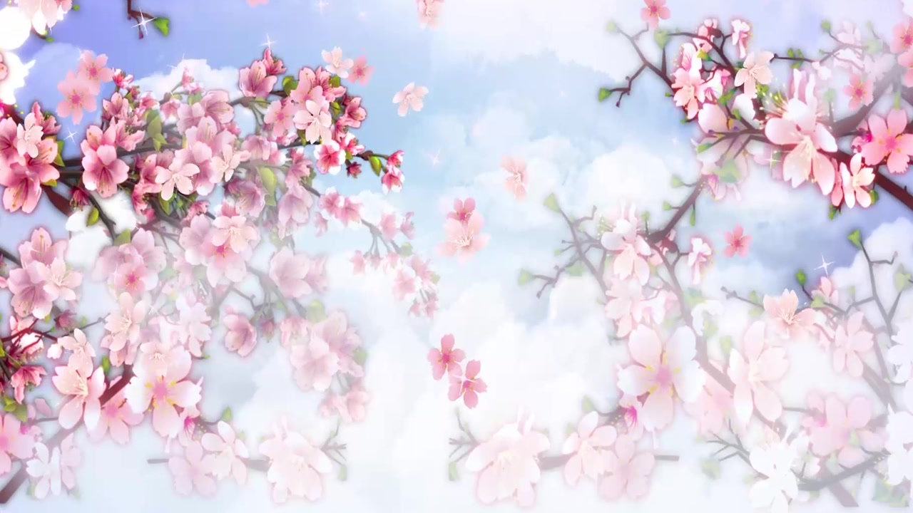 详情图-动画背景，美丽的粉红色玉兰花盛开的树在早春季节在公园晴朗的一天蓝天下