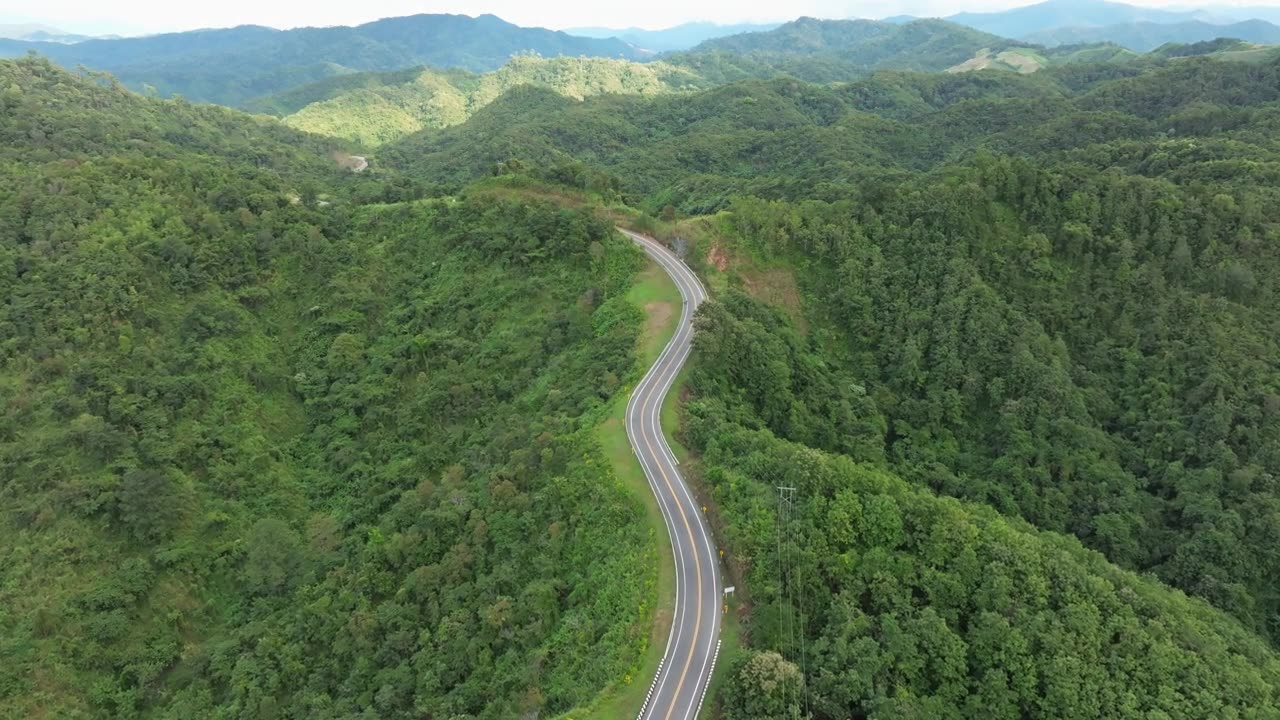 詳情圖-鳥(niǎo)瞰深綠色的森林道路和白色的電動(dòng)車自然景觀和高架道路探險(xiǎn)旅行交通和環(huán)保理念