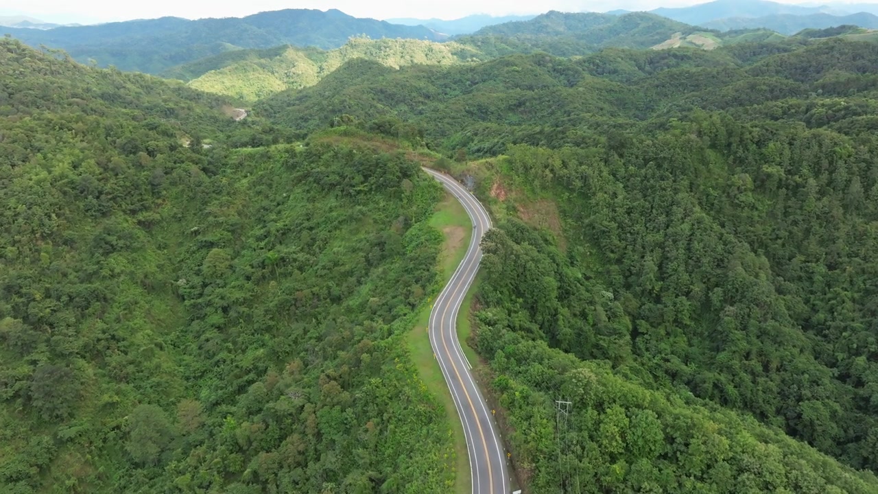 詳情圖-鳥(niǎo)瞰深綠色的森林道路和白色的電動(dòng)車自然景觀和高架道路探險(xiǎn)旅行交通和環(huán)保理念