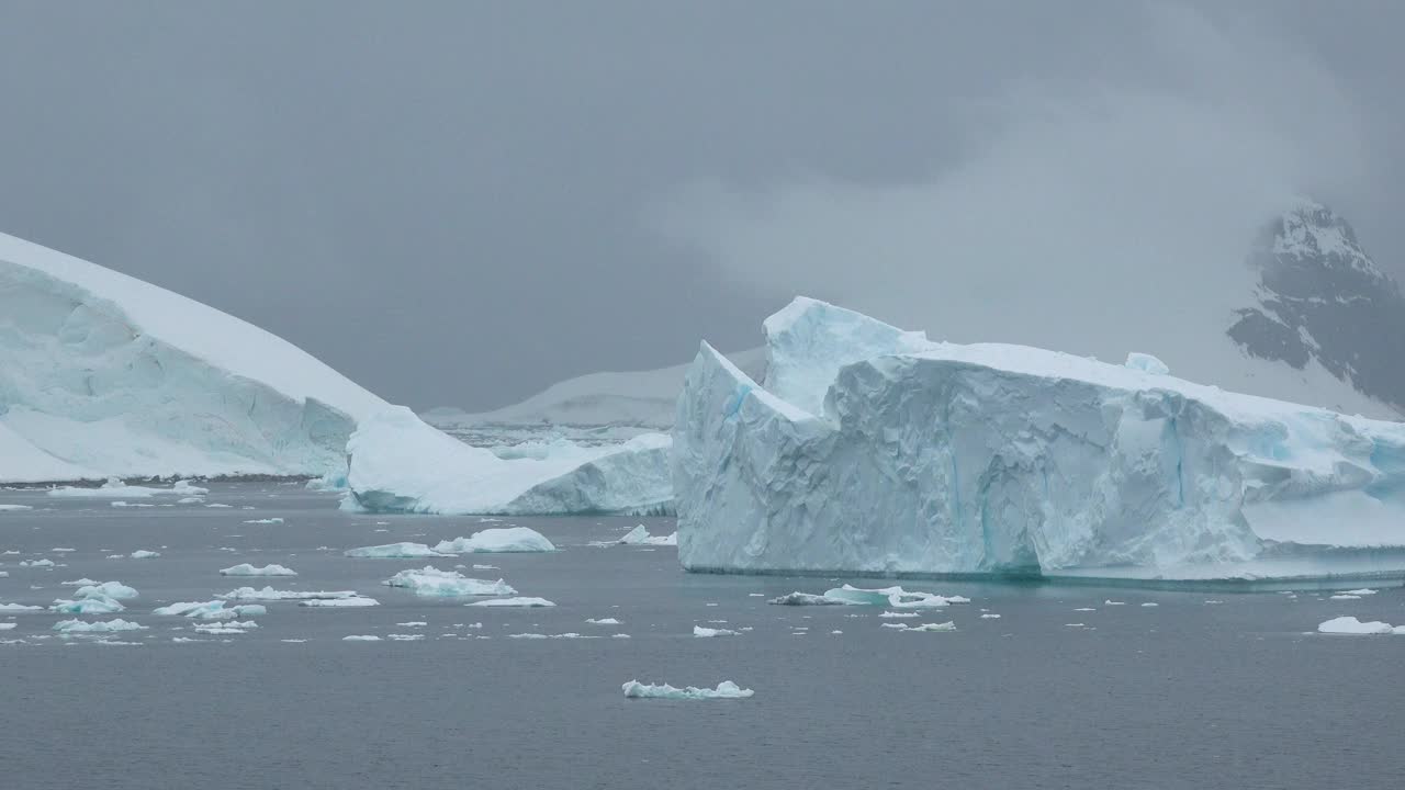 近距离极地海景与冰山在大洋湾。海岸的雪山。北极融化的冰湾。全球变暖环境保护。电影中南极的气候变化