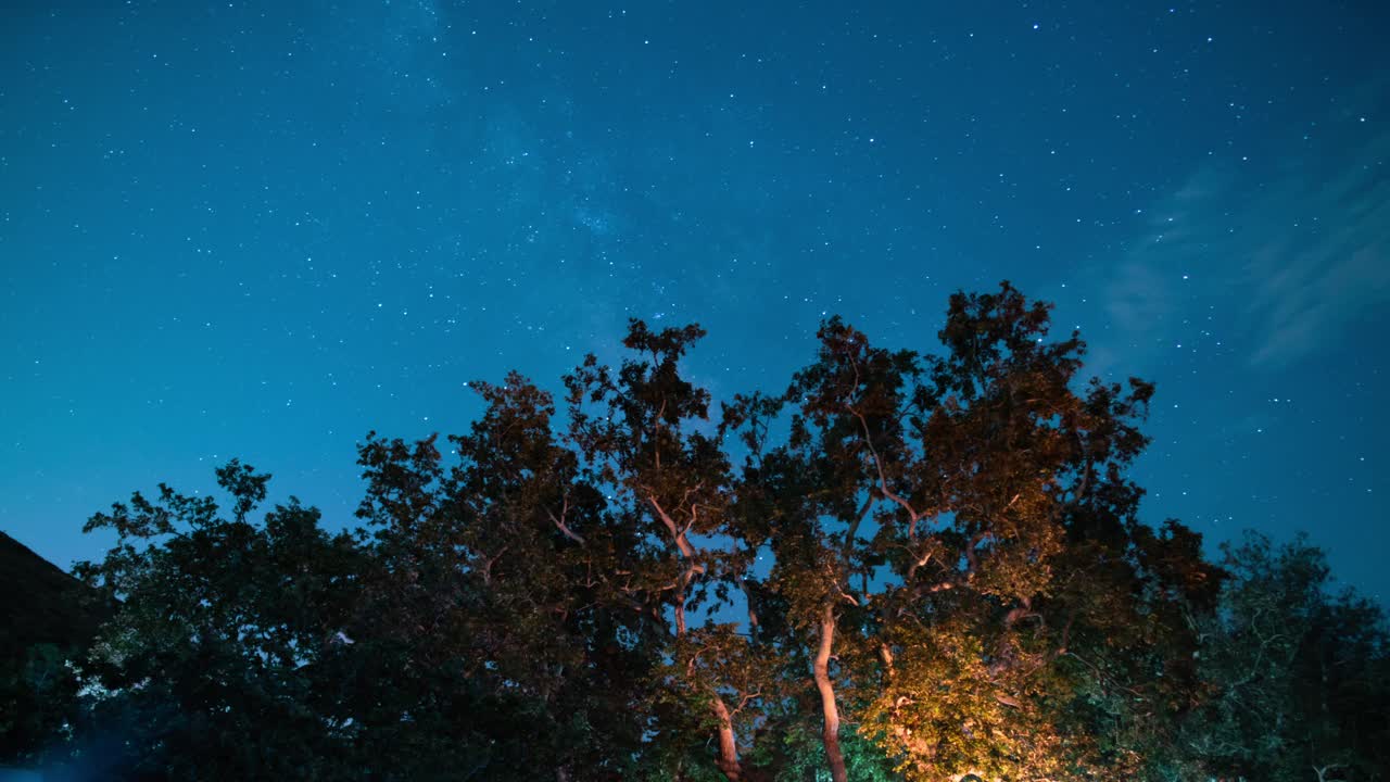 马里布银河系和星星在繁忙的Sycamore露营地圣莫尼卡Mts NRA美国加州时间流逝