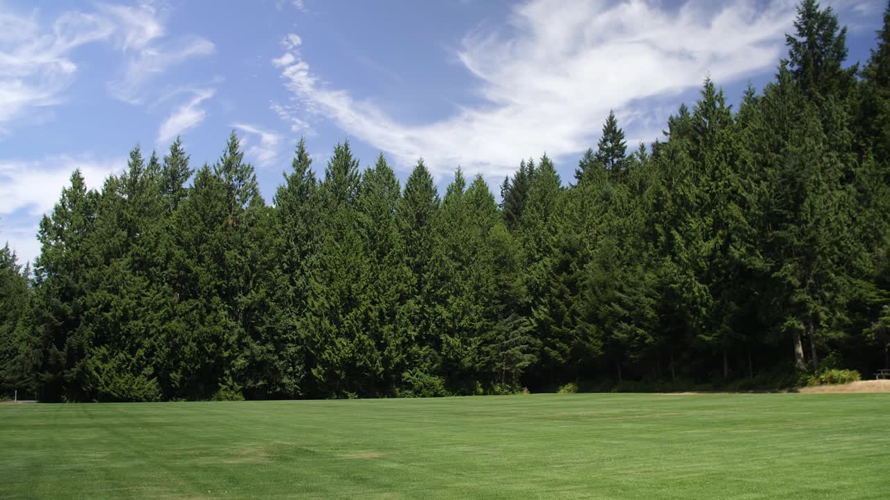 惠德贝岛上维护良好的公园空间，到处都是常青树。