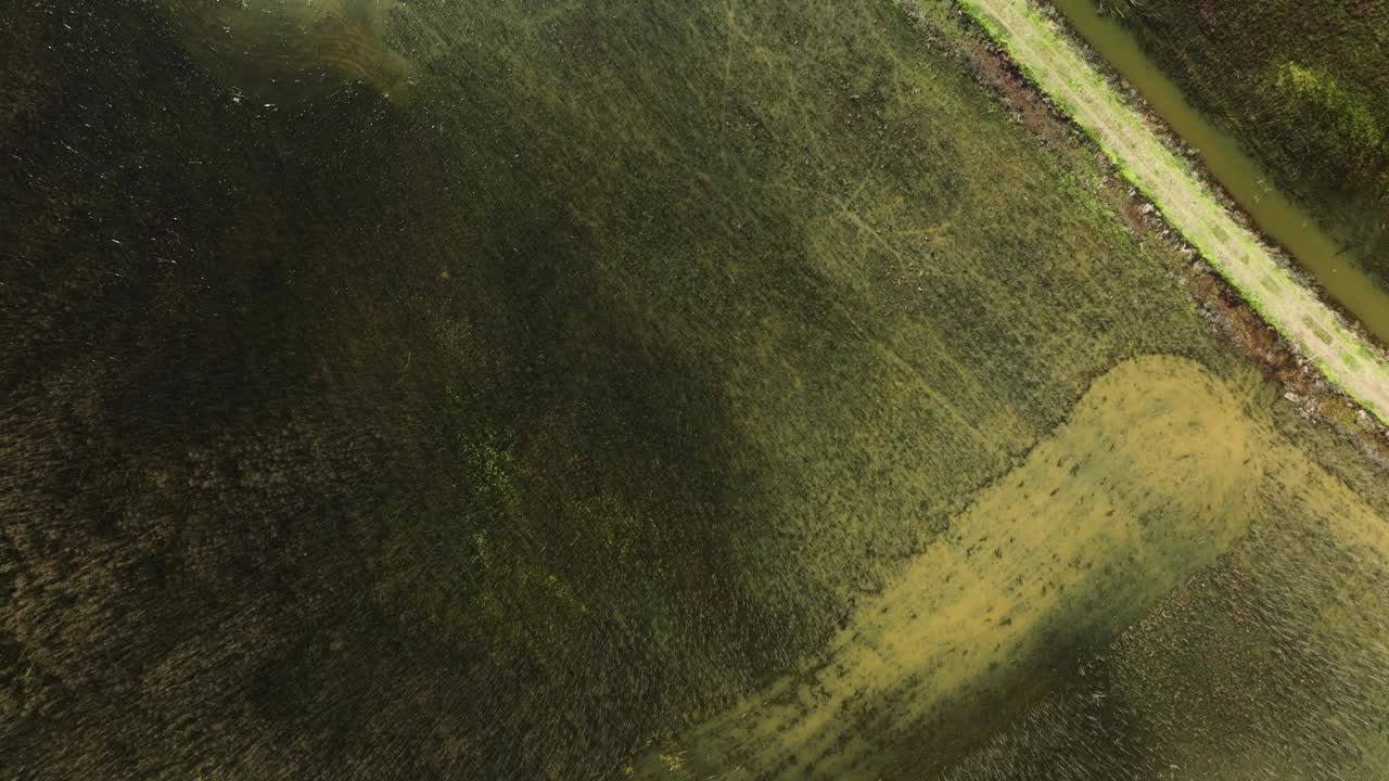 美国阿肯色州贝尔斯劳州野生动物管理区的溪流和草原景观俯视视图。空中拍摄