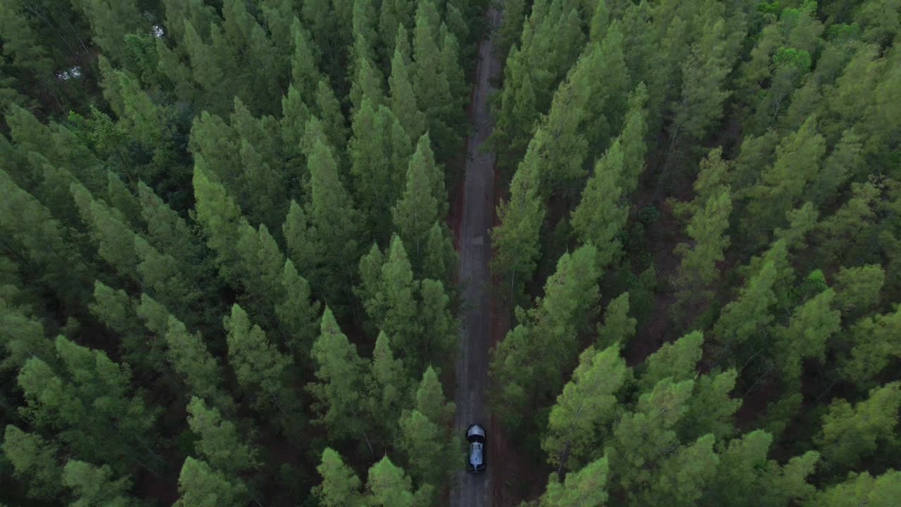 鸟瞰深绿色森林公路与电动车自然景观与高架公路探险旅行交通与环保理念