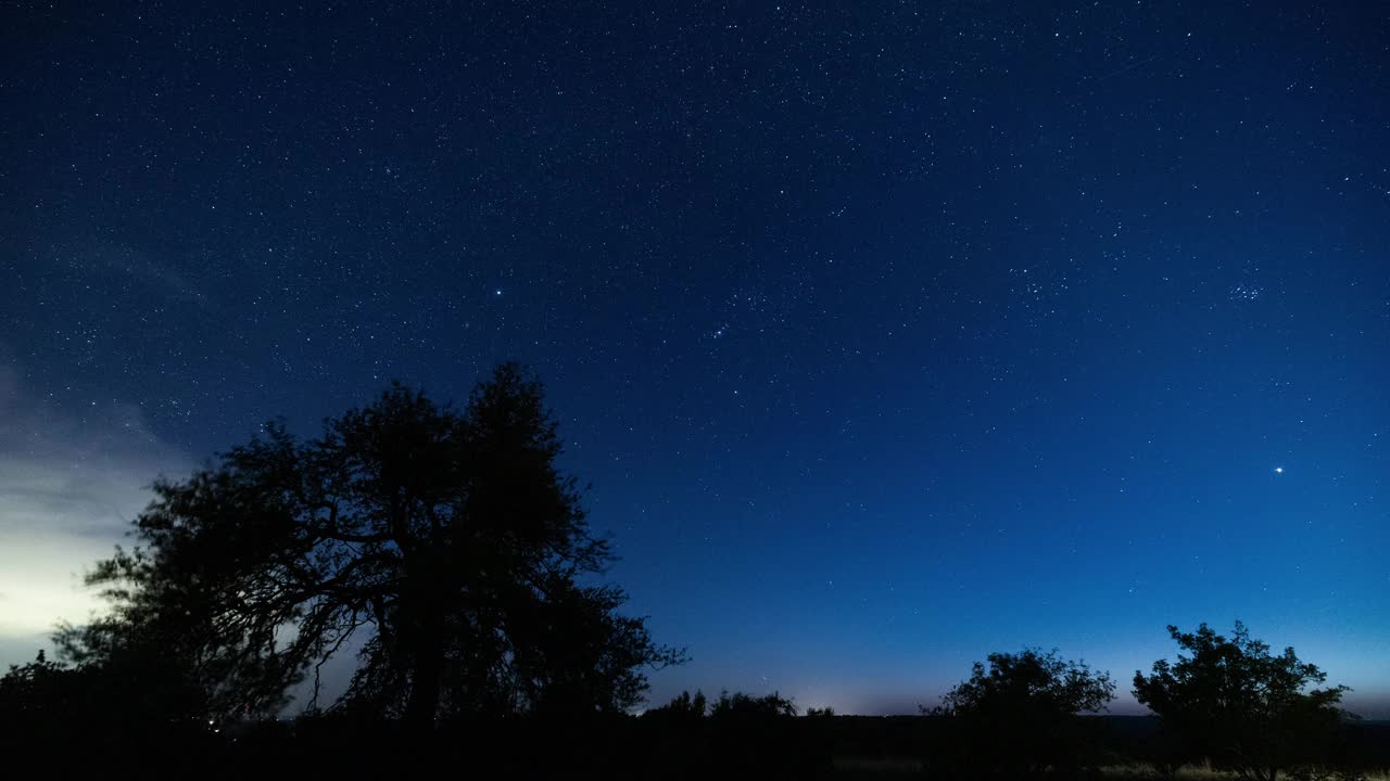 蓝色星空的延时，可以看到星座，前景有树