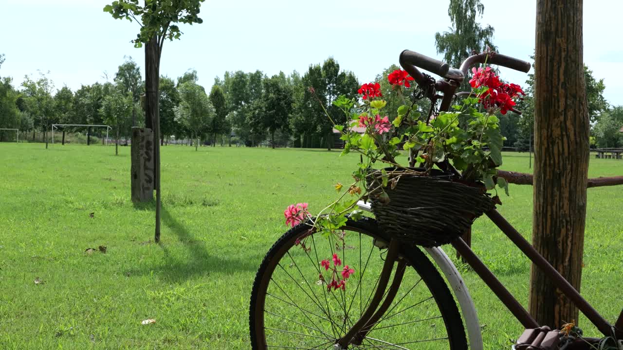 农场里的旧自行车，木筐上放着花。-特写镜头