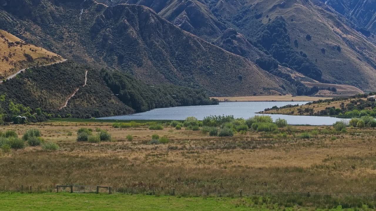 鸭和鸟在湿地上空翱翔的广角鸟瞰图