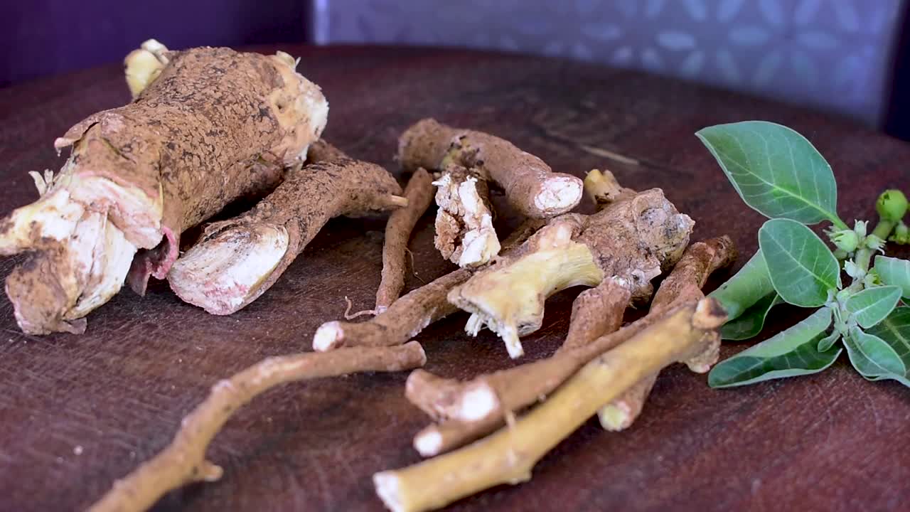 苦参(Ashwagandha)干根，绿叶草本植物。木制背景上的Withania somnifera