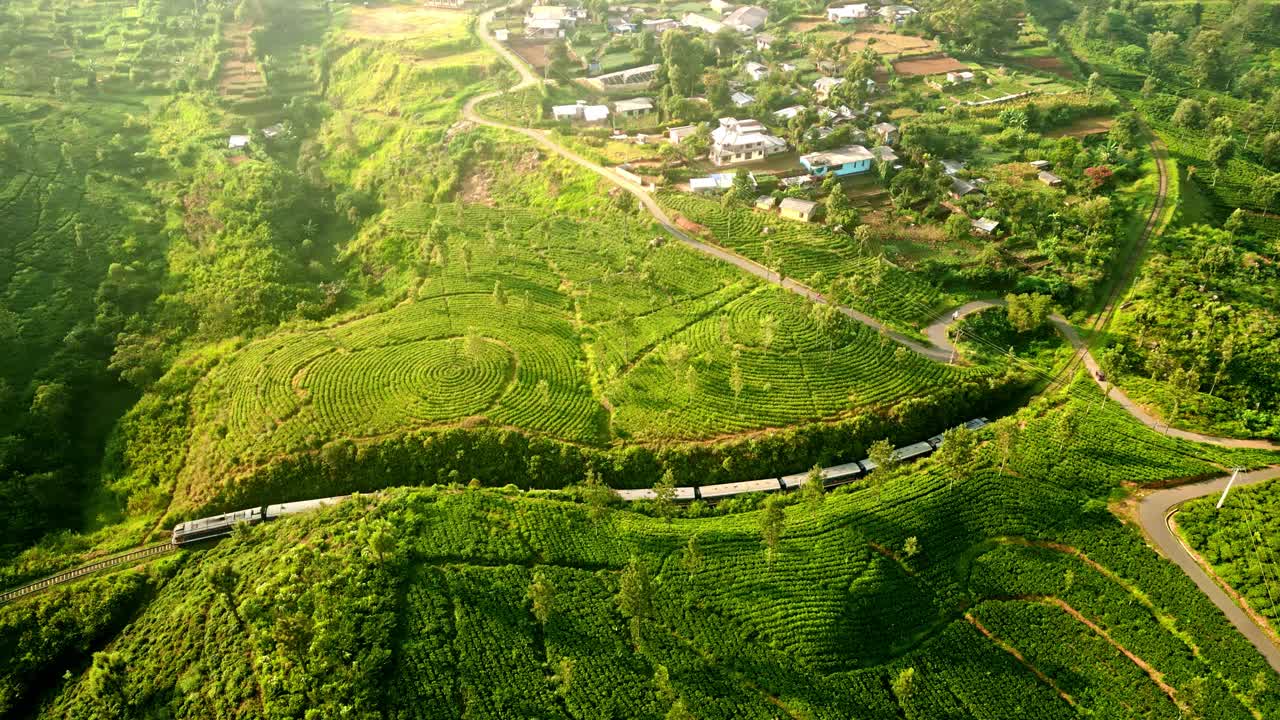 火车蜿蜒穿过郁郁葱葱的哈普塔莱山脉，穿梭在生机勃勃的绿茶田里。航拍拍摄斯里兰卡乡村风景优美的旅行。旅游业和农业融合在一片宁静的风景中。
