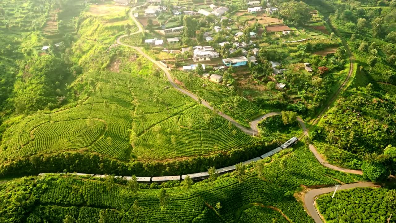 詳情圖-火車蜿蜒穿過郁郁蔥蔥的哈普塔萊山脈，穿梭在生機(jī)勃勃的綠茶田里。航拍拍攝斯里蘭卡鄉(xiāng)村風(fēng)景優(yōu)美的旅行。旅游業(yè)和農(nóng)業(yè)融合在一片寧靜的風(fēng)景中。