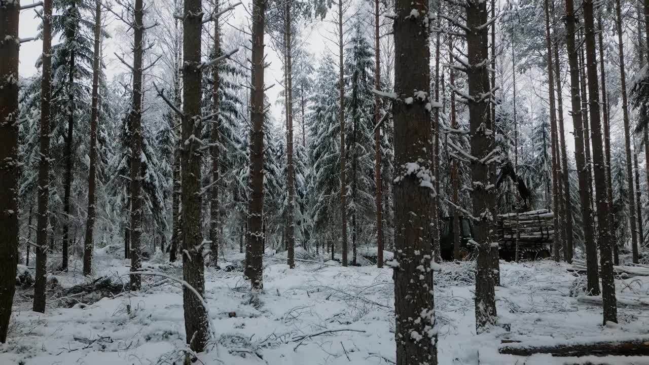 冬天的森林，白雪覆盖的树木和沉重的伐木机械作为背景，宁静而工业化