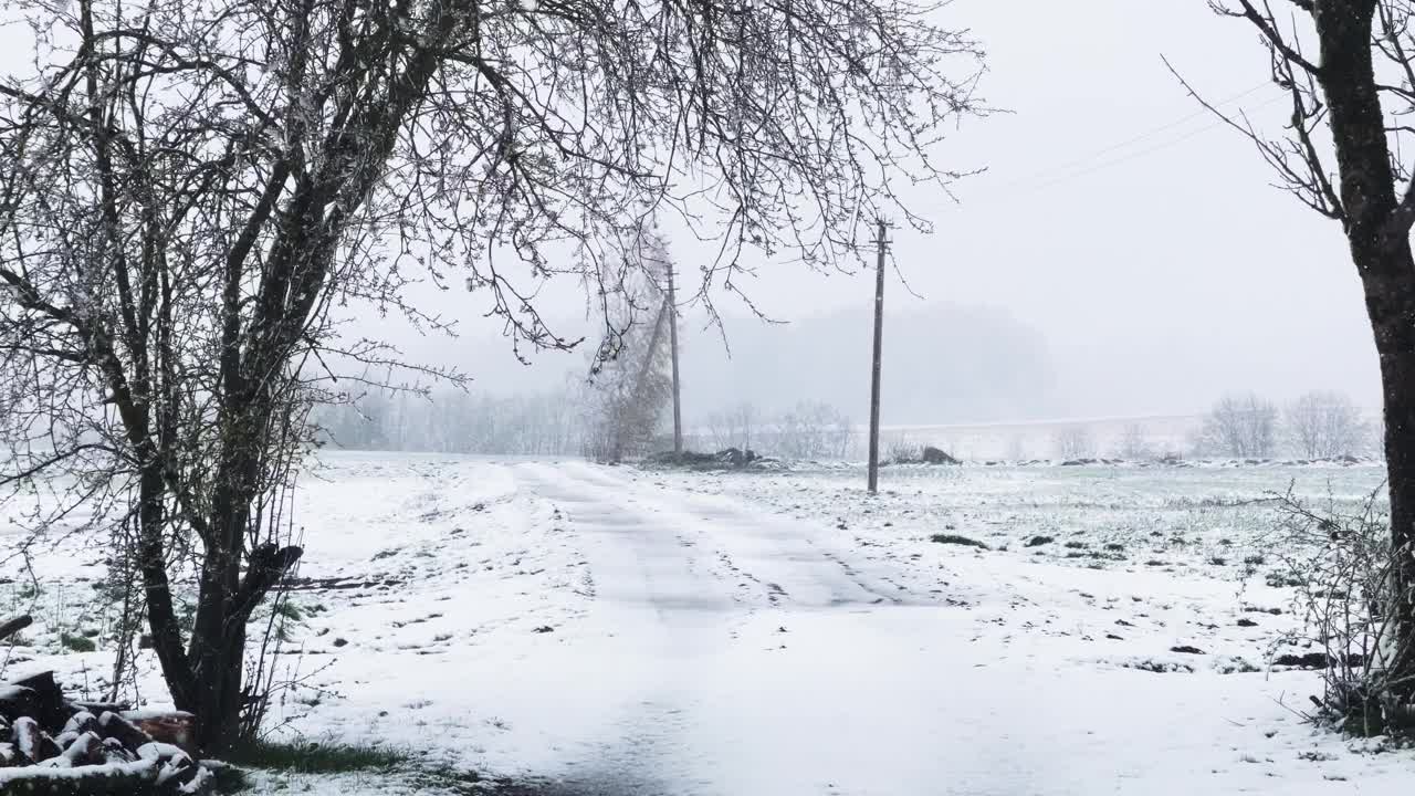 在拉脱维亚，四月突然的暴风雪中，拖着木桩的拖拉机在拖车里行驶