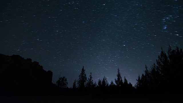 星迹-夜空时间流逝与树的剪影