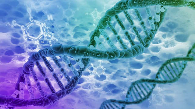 DNA分子循环视频