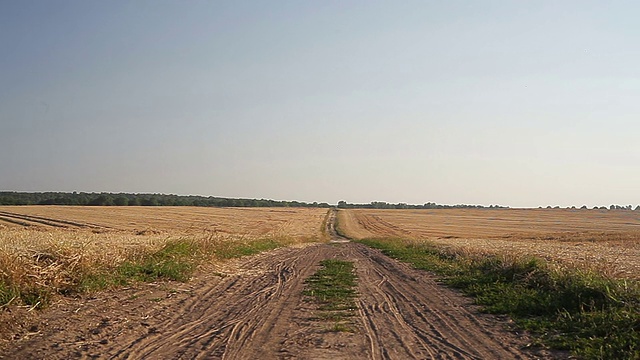 秋天，有坡地的麦田和道路