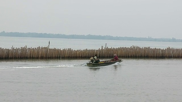 红树林河