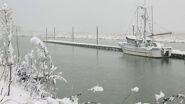 苏格兰池塘史蒂夫斯顿新雪