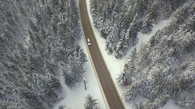 在冬天沿着森林道路行驶的汽车