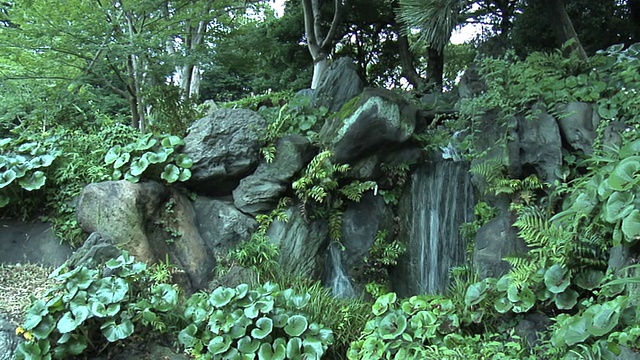 东京皇家花园16