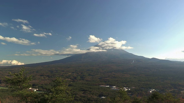 秋天的景观在富士山和广泛的森林，山梨县，日本