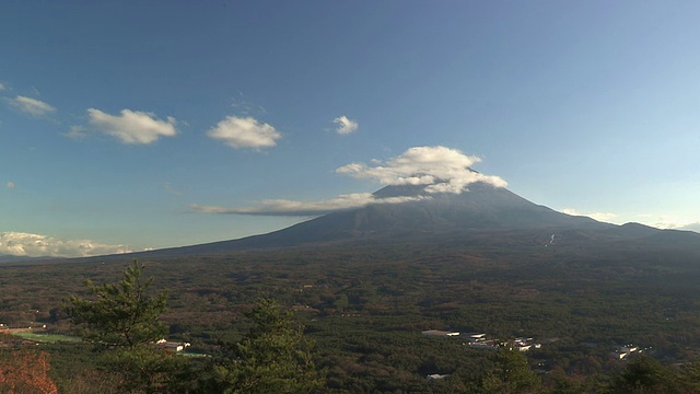 秋天的景观在富士山和广泛的森林，山梨县，日本