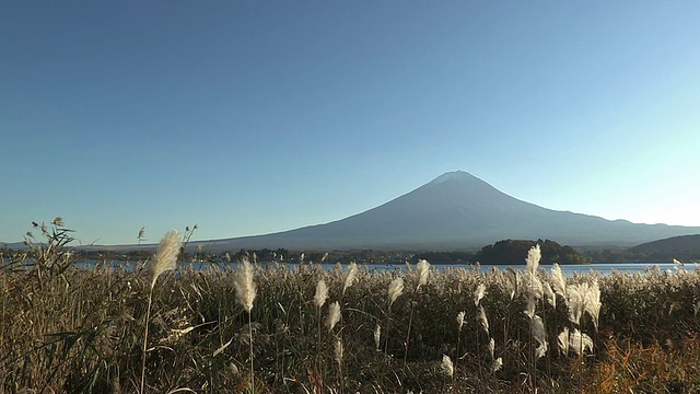 日本山梨县富士山和川口湖的秋季景观