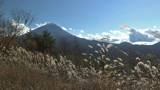 日本山梨县富士山的秋季景观