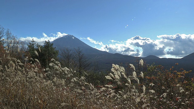 日本山梨县富士山的秋季景观