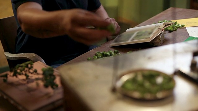HD MACRO:重量啤酒花