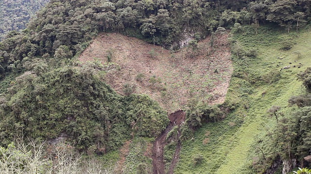 由于砍伐山地雨林而引起的滑坡