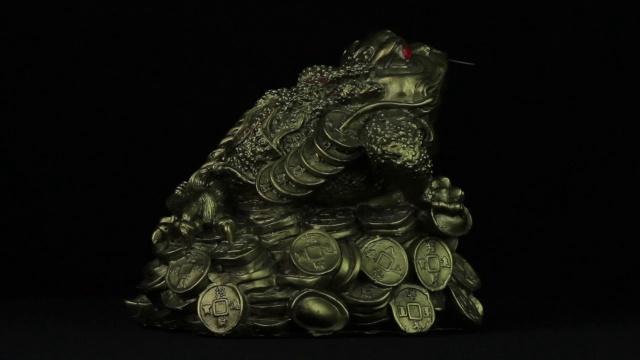 金钱蟾蜍在一个黑色的背景循环上旋转