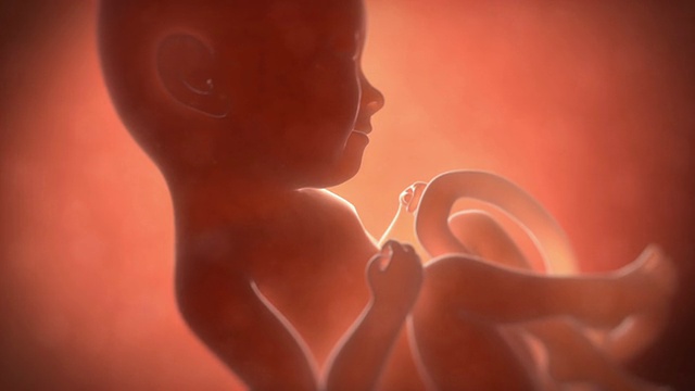 九個月大的胎兒
