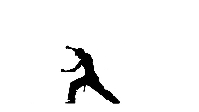 功夫，空手道，武术，剪影。手里拿着双节棍