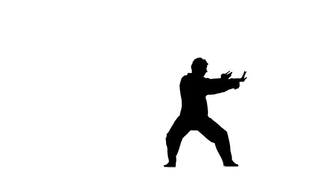 功夫，空手道，武术，在你周围跳跃，剪影，慢动作