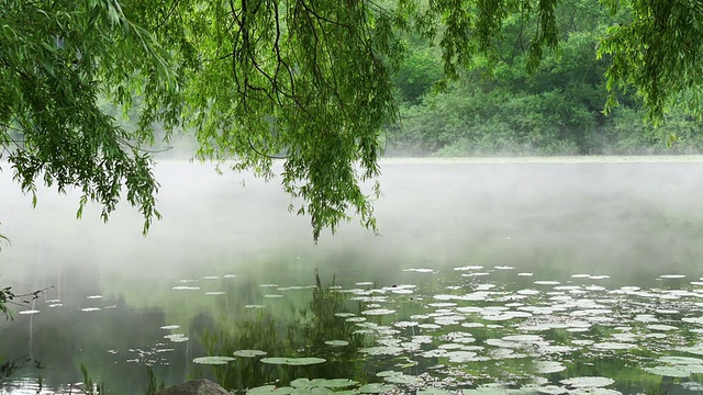 河上的晨雾