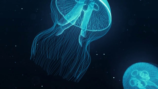 水母夜燈光壯觀的游泳循環(huán)。