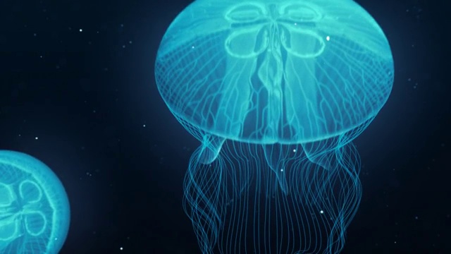 详情图-水母夜灯光壮观的游泳循环。