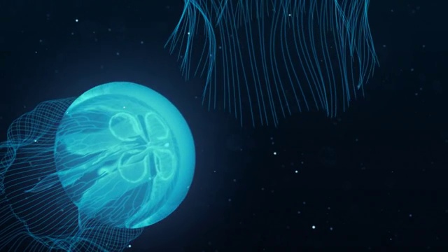 详情图-水母夜灯光壮观的游泳循环。