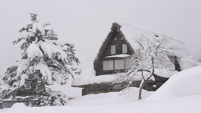 雪花落在房子上，在富山，日本