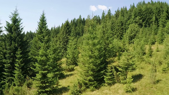 飞越山林。航拍视频