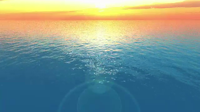 在夕陽的海洋中飛翔