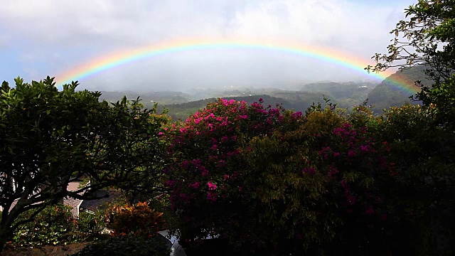热带花园上空的彩虹