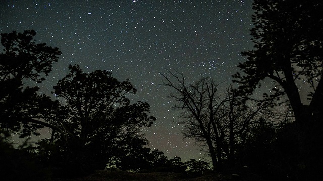 夜空时间推移，森林上空的星空和流星