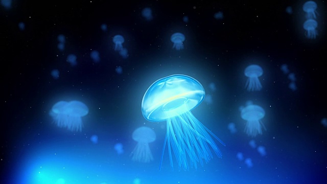 詳情圖-藍色的水母