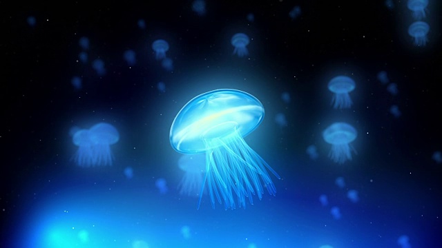 詳情圖-藍色的水母