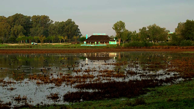 La Donana国家公园湿地，El Rocio，西班牙安达卢西亚