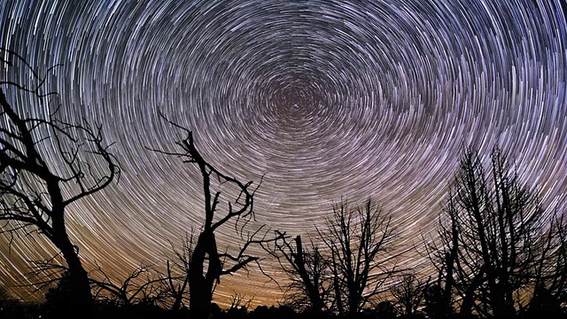 詳情圖-美麗的夜星軌跡圍繞著北極星在森林上空旋轉